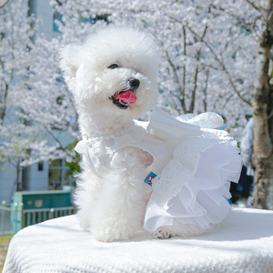 Vestidos de Novia Blancos de Perlas al por Mayor para Perros Pequeños y Medianos, Nueva Llegada, Vestidos de Noche de Verano - Product Image 4