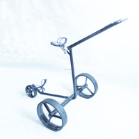 Carrito de golf Elektro carbono