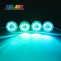 Carnaval nouveau Ip65 38mm automatique RGB Pixel Point lumière préprogrammée Ac24V Amusement Ride lumières