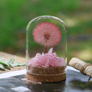 Bomboniere Artigianali per Matrimoni e Feste, Fiori di Tarassaco Conservati Sotto Cupola di Vetro, Decorazioni per Tavoli, Regali Floreali Preservati - Product Image 3