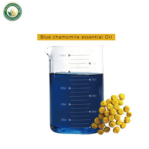 Huile essentielle de camomille bleue pure en vrac pour les formulations cosmétiques, les produits de soin de la <span class=keywords><strong>peau</strong></span> et les applications industrielles - Product Image 2