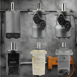 มอเตอร์ไฮดรอลิกแบบมืออาชีพสั่งทำพิเศษ ขนาด 12 ซม. แรงบิดต่อเนื่อง 50 นิวตันเมตร ความเร็วรอบ 2000 รอบต่อนาที แรงดัน 3000 ปอนด์ต่อตารางนิ้ว - Product Image 1