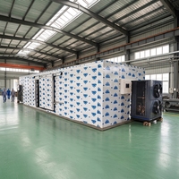 Drytech DT1200HD Energiezuinige commerciële warmtepomp fruitdroogmachine voor tropische mango, banaan, appel 380V/480V
