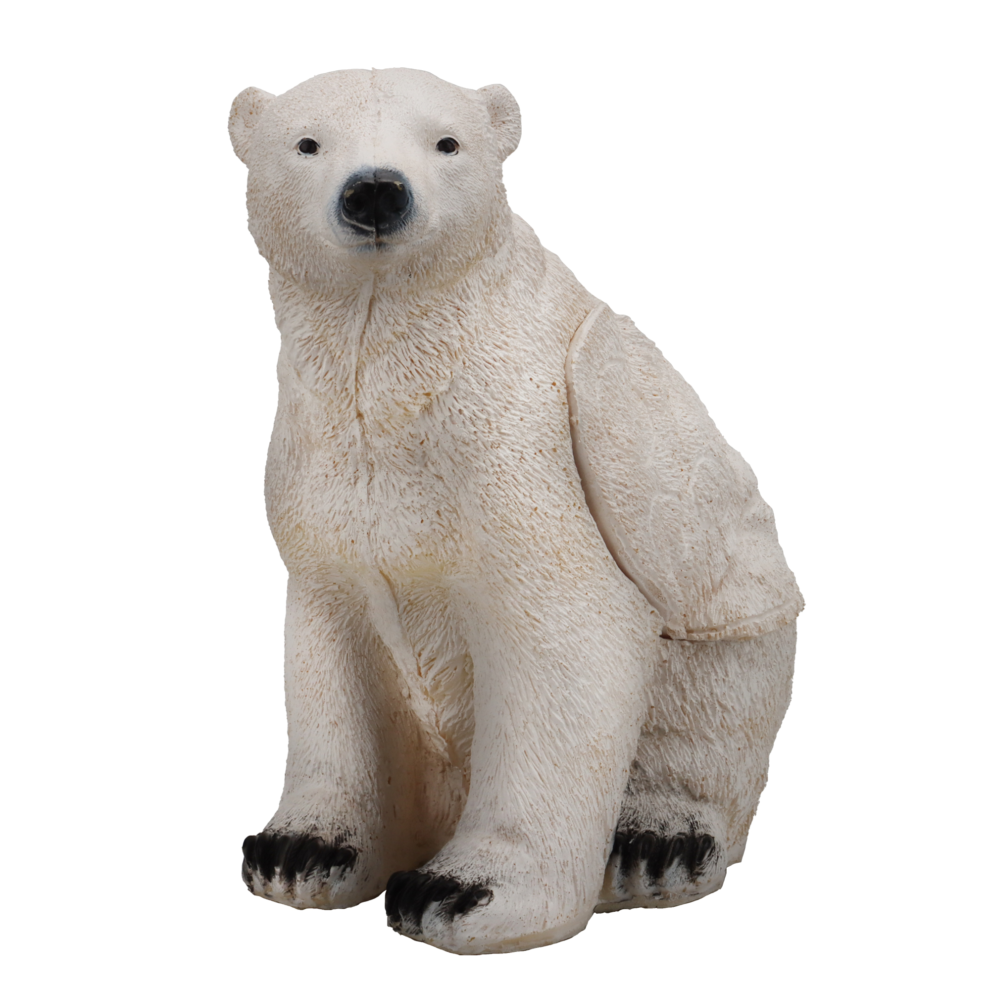 Oso blanco