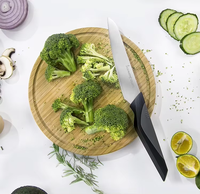 Couteau à légumes utilitaire en acier inoxydable de qualité supérieure de 5.5 pouces avec lame tranchante et manche en plastique