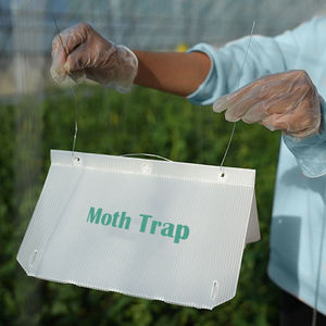 Piège à mites Delta en plastique, lutte antiparasitaire des cultures, piège à mites <span class=keywords><strong>Jackson</strong></span>, attrape-insectes volants, outil de surveillance agricole - Product Image 3