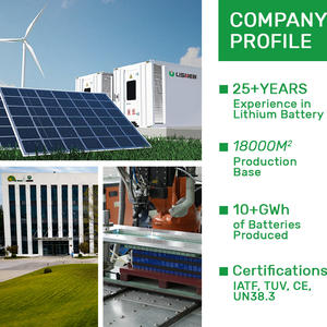 150ah 60 Volt Lithium-Batterie-Kit 280ah 12V AGM 250ah Lifepo4 für Solar panel Energy System Gabelstapler Lager mit 180ah Kapazität - Product Image 2