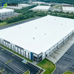 Structure Modulaire en Acier à Haute Capacité de Charge pour Entrepôt Industriel, Terminal de Manutention de Fret Lourd à Grande Hauteur de Sol - Product Image 1