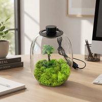 Terrarium en verre borosilicate fait main avec lumière LED intégrée pour la décoration de micro-paysages, de mousse et de palmiers 20x25cm