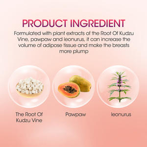 MQ Plâtre Chinois 100% Naturel pour l'Amélioration Mammaire, Certifié CE Classe I, Utilisation Quotidienne, Respirant, Jetable, Extrait Naturel - Product Image 3