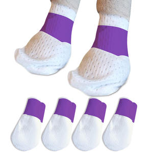 Хит продаж, <span class=keywords><strong>2025</strong></span> Собачьи носки - Product Image 2