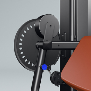 Shandong, equipo de gimnasio comercial de alta calidad, máquina de fuerza para culturismo, rizo de bíceps y máquina de tríceps, ejercicio de brazo - Product Image 6