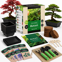 Kit Pohon Bonsai Dekoratif Kreatif Ramah Lingkungan Profesional Buatan Sendiri (DIY) Laris Manis dengan Berbagai Jenis Benih Harga Terjangkau