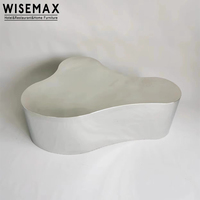 WISEMAX FURNITURE Table d'appoint de luxe légère forme irrégulière base en acier inoxydable table basse de table en métal pour le salon
