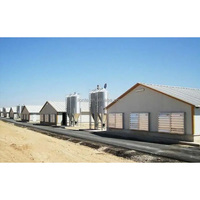 Bâtiment à structure en acier préfabriqué poulailler ferme avicole structure en acier conception pour poulailler