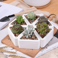 Pot de fleurs et vase de table triangulaires en céramique multicolores ZHUODI modernes et économiques pour la Journée de la Terre