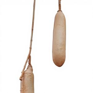 <span class=keywords><strong>Poudre</strong></span> d'extrait <span class=keywords><strong>de</strong></span> fruit <span class=keywords><strong>de</strong></span> <span class=keywords><strong>Kigelia</strong></span> <span class=keywords><strong>de</strong></span> haute qualité et à haute teneur 10:1, <span class=keywords><strong>poudre</strong></span> <span class=keywords><strong>de</strong></span> fruit <span class=keywords><strong>de</strong></span> <span class=keywords><strong>Kigelia</strong></span> <span class=keywords><strong>de</strong></span> qualité alimentaire - Product Image 2