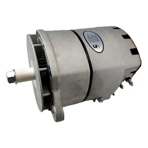 Diesel Motor Onderdelen Voor Cummins KTA50 ISM11 QSM11 IXS15 Dynamo 3400698 3072483 Ccec Dcec Xcec