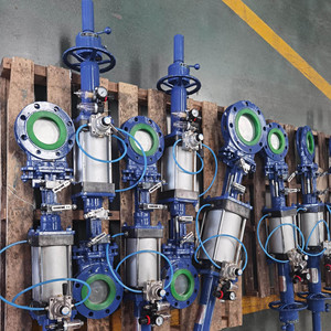 Van Điều Khiển Bằng Khí Nén 3-20 Inch Van Cổng Khí Nén Có Mặt Bích Đôi - Product Image 2