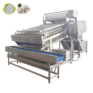 Lobster Grader Small Shrimp Peeling Machine Shrimp Grading Machine - Product Image 6