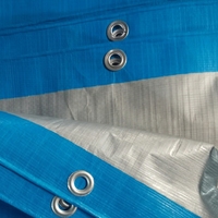 Bâche en PE tissée enduite robuste, imperméable, bleue et blanche, pour toiture, potager et abri automobile