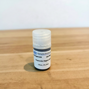 Microesferas Magnéticas de Estrepavidina de Alto Rendimiento para Mapeo de Interacciones Proteicas, Biología Funcional e Investigación Biomédica - Product Image 1