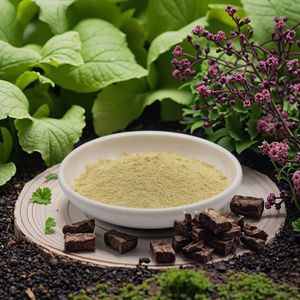 <span class=keywords><strong>Rhizoma</strong></span> Kaempferia Galanga Kaempferia Parvifloraエキスケンフェロールサプリメントパウダー - Product Image 3