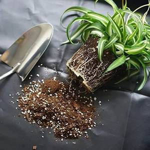 Tapis de repiquage bien rangé fleur rempotage changement sol succulent tapis de rempotage intérieur fonctionnement pliable jardin plante tapis de rempotage - Product Image 2