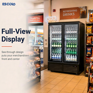 Refrigerador Comercial de Doble <span class=keywords><strong>Puerta</strong></span> Vertical para Bebidas, Vitrina Exhibidora de Bebidas, Enfriador de Bebidas para Restaurantes y Cocinas - Product Image 4
