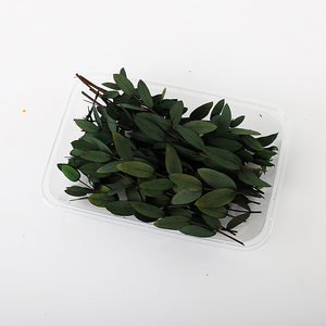 Dried Preserved <strong>Eucalyptus</strong> Leaves for Home Stem Photo Props Real <strong>Plant</strong> for Vase Office Wedding DIY Craft Decoration - Product Image 6