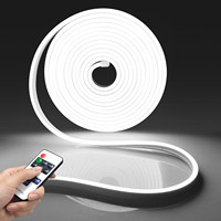 Bande LED néon DC24V avec prise EU, télécommande RF à intensité variable, 10M, éclairage décoratif étanche pour cuisine