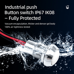 Interrupteur à bouton-poussoir étanche IP67, faisceau pré-câblé, 2A 220V, qualité marine, LED 19mm 22mm - Product Image 2