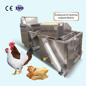 Machine de traitement du poulet en acier inoxydable 304 |   80 oiseaux/heure |   Grandes abattoirs |   Certifié CE - Product Image 3