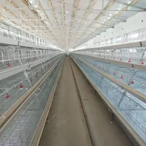 Meilleure vente Produits 96,120,128,160 Cages à poulets en batterie pour volaille pondeuse