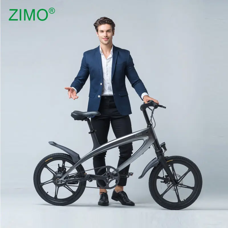 2023 Trọng lượng nhẹ đa màu sắc di động 6Ah pin xe đạp điện