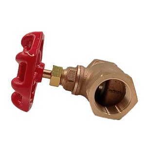 Guangdong Magnesium Special Bronze Gate Valve Threaded 2-Way Cut-Off Water Valve - Product Image 1