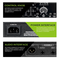 Égaliseur graphique professionnel LAIKESI 215 à double bande 15 (noir métallique) – Audio professionnel filaire avec effets sonores multiples et réglage vocal