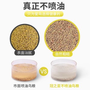 Nourriture pour oiseaux à haute teneur en protéines pour les mynas, 85 % de protéines, complément alimentaire naturel, formule d'alimentation - Product Image 4
