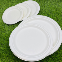 Assiettes en papier de forme ronde biodégradables Assiettes en papier écologiques