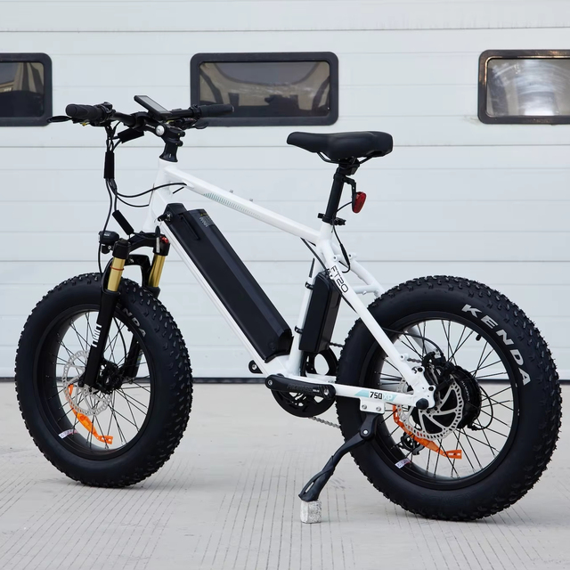 Special Offer 17inch Frame Electric Bike 48v E Mountain Bike 750w 16ah Long Range E Trek Mountain Bicycle for Adults