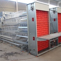 Cages à poulets automatiques de type H SHEEDOZ, galvanisées à chaud, cages en batterie pour volailles, capacité de 5000 à 50000 oiseaux, équipement d'élevage