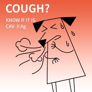 ชุดตรวจวินิจฉัยโรคสัตว์เลี้ยงแบบเร็ว ความแม่นยำสูง สำหรับตรวจหาแอนติเจนของไวรัสอะดีโนไวรัสสุนัขชนิดที่ 2 (CAV-II) สำหรับสุนัข - Product Image 6