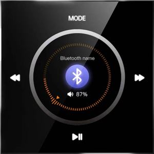 Bán Buôn <span class=keywords><strong>Mini</strong></span> Stereo Surround Âm Thanh Cho <span class=keywords><strong>Bluetooth</strong></span> Loa Khuếch Đại Thông Minh Điều Khiển Wall Mount Trong Tường Thu Bộ Khuếch Đại - Product Image 6