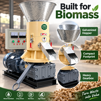 Lege vruchtenbos biomassa pelletmachine pelletmolen pers pelletiseermachine palmolieafval apparatuur