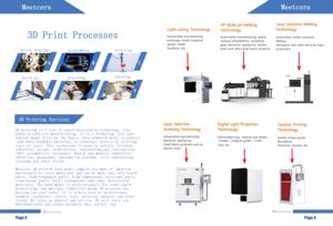 Servizio di Prototipazione Rapida con Stampa 3D, Modello di Scheletro di Stegosauro - Dinosauro Preistorico Flessibile per Esposizione, OEM/ODM Disponibile, Formato Piccolo - Product Image 4