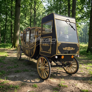 Chariot électrique de qualité supérieure, design royal, couleur noire personnalisée, prix usine, moderne, pour la visite touristique, à vendre - Product Image 1