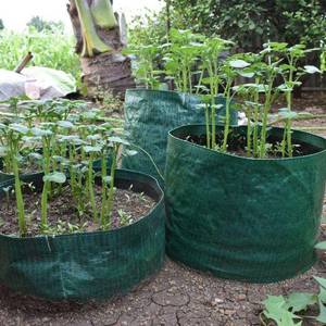 ถุงปลูกต้นไม้แบบใหม่ ผลิตจาก HDPE/LDPE ป้องกันรังสียูวี มีจำหน่ายหลายขนาด ทนทาน ใช้ซ้ำได้ สำหรับการปลูกพืชบนระเบียงและในโรงเรือน - Product Image 3