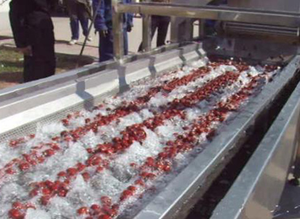 Mô hình vừa và nhỏ ngày cọ dây chuyền chế biến xi-rô trái cây/dây chuyền chế biến nước ép ngày - Product Image 3