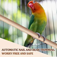 Perchoirs pour oiseaux, accessoires de cage, perchoirs en bois de remplacement à double fente pour perroquet, ara, cacatou, perruche