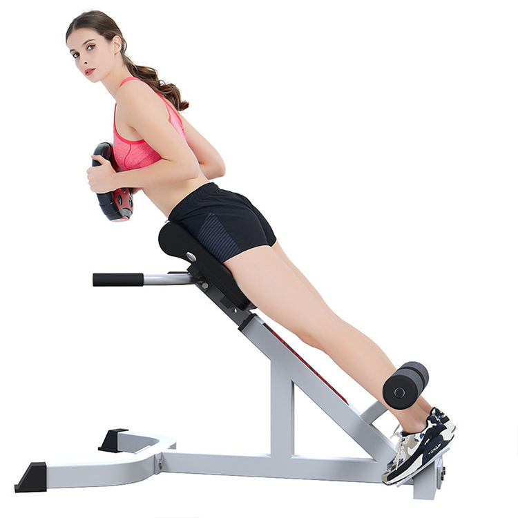 Roman Chair Exercises Versatile Back Extension Equipment